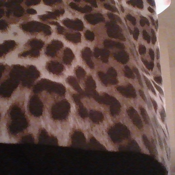 Leopard Print Skirt - Picture 2 of 2